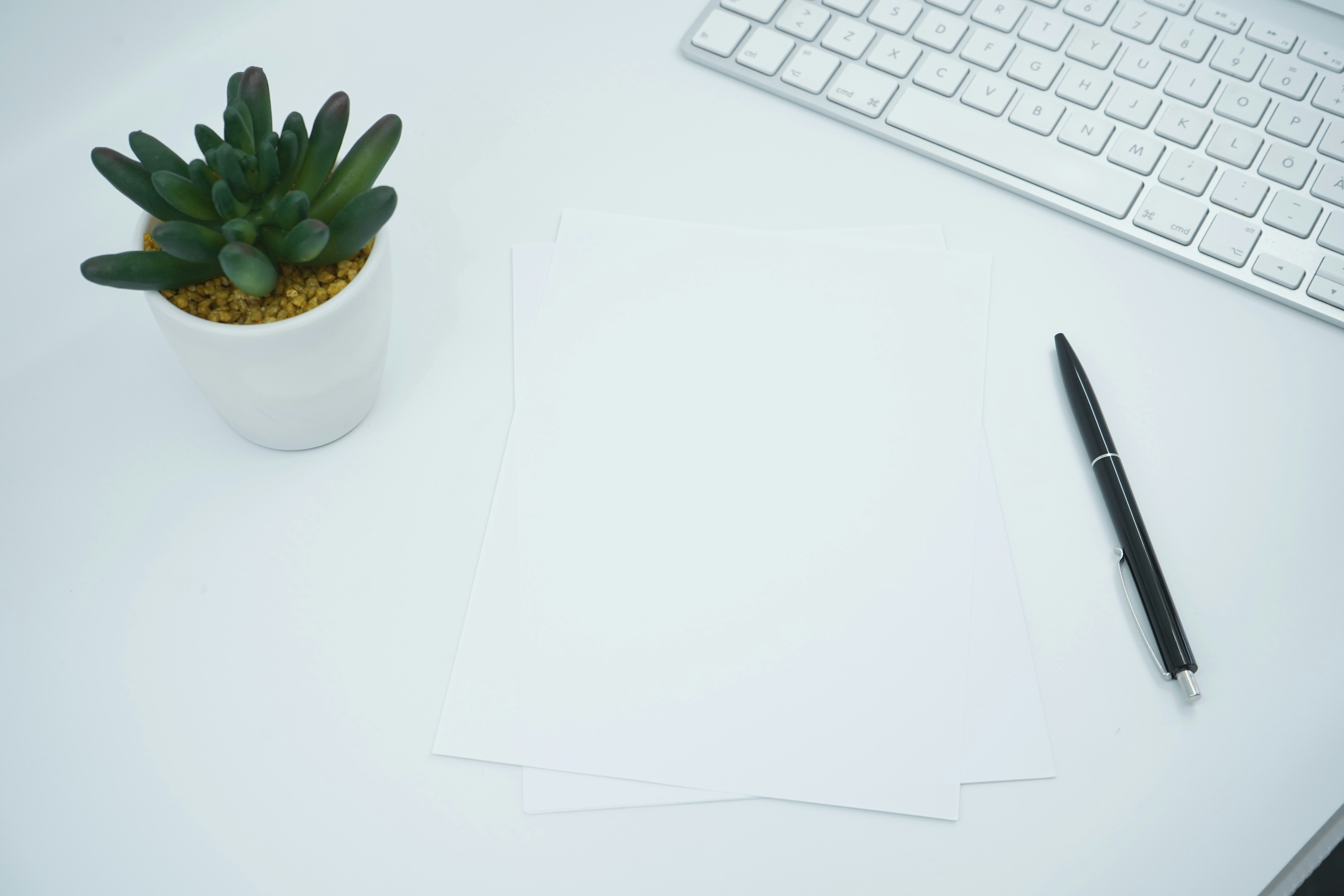 Stack of white papers on a desk next to a keyboard and a small potted plant.